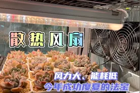 天天被追问的散热风扇，14cm风力强劲超给力，助我安全度夏法宝视频封面