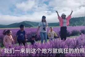 去若尔盖草原，路过薰衣草花海，拍照停不下来了！视频封面
