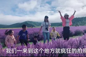 去若尔盖草原，路过薰衣草花海，拍照停不下来了！视频封面