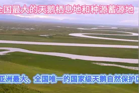 46天天山南北边疆行，来到了天鹅的故乡，巴音布鲁克大草原。视频封面