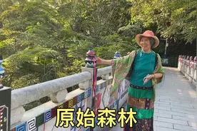 带老妈去西双版纳的原始森林公园，走栈道买衣服，今天又玩好了！视频封面