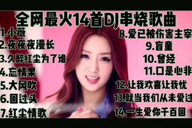 全网最火14首DJ版串烧歌曲，画面劲舞旋律优美优，歌声百听不厌。