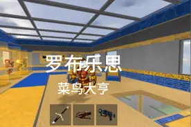 罗布乐思：菜鸟大亨第2期