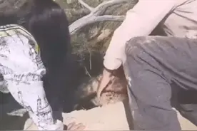 全网最具正能量
情感主播心姐（2）视频封面