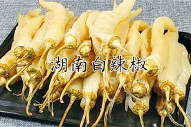 10斤青椒分享湖南白辣椒的详细做法，酸辣脆爽，做菜超级百搭视频封面