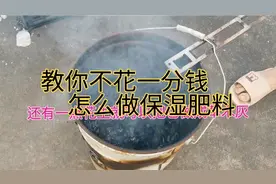 阳台种植，夏季高温容器内盆土容易干，这个小妙招告诉你照着做视频封面
