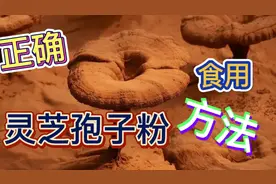 灵芝孢子粉的正确食用方法？华子教大家怎么正确的食用灵芝孢子粉