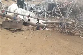 河南今年入冬了羊价格有点反常，受多种原因影响，羊的低价格持续视频封面