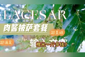 槐米一斤多钱？看看视频就知道了啊！