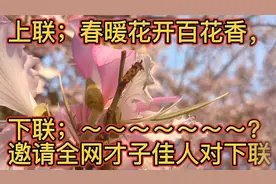 上联；春暖花开百花香，下联；～～？邀请全网才子佳人对下联！视频封面