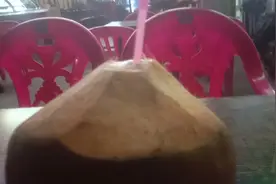 热了就喝冰冻椰子，海南椰子是唯一不用喷药长成的水果