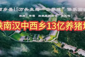 陕南汉中西乡13亿养猪场，去看看什么样子的，视频封面