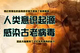 人类大脑有一种古老病毒，它是人类产生思维意识的根源很不可思议视频封面