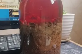 蜂胶泡酒的功效与作用蜂胶酒怎么喝最好治什么科普蜂胶的知识分享