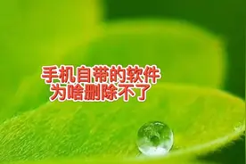 手机自带的软件为什么没法卸载，告诉你两种方法可以删除，有用吗视频封面