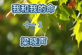梁晓声长篇小说《我和我的命》第十一章第一节视频封面