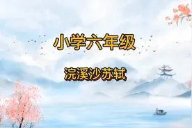 谁道人生无再少？休将白发唱黄鸡。感受苏轼乐观不服老的青春宣言视频封面
