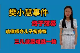 樊小慧事件终于有结果，请律师争夺抚养权，三儿菠菜难逃一劫视频封面