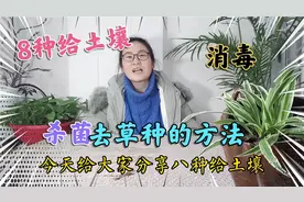 分享8种给土壤消毒方法，去草籽杀菌去虫卵，方法简单环保又方便视频封面