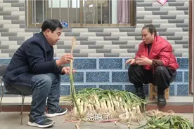大儿子工作室快开业了，薇奶要给儿子准备红包，薇爷不愿意了视频封面