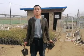 海棠品种大全视频封面