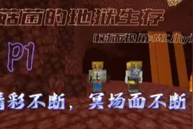 地狱生存:黑丝？黑石？古有武松打虎，今有菌打恶魂@MC小y解说视频封面