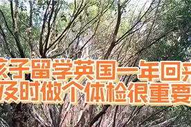 孩子留学英国一年硕士回来，健康体检有必要，儿子要注意哪些方面视频封面