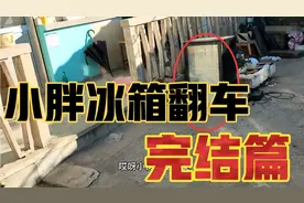 院长深度分析完结篇！关于小胖冰箱翻车事件以及直播中的澄清！