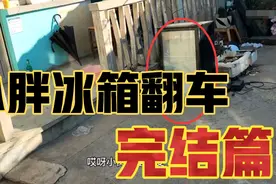 院长深度分析完结篇！关于小胖冰箱翻车事件以及直播中的澄清！视频封面