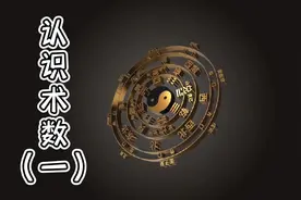 术数的基础学习视频封面