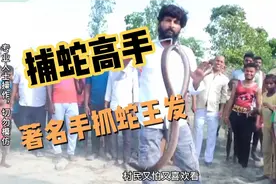 印度阿三捕蛇高手，专业手捕蛇，一招制胜视频封面