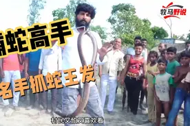 印度阿三捕蛇高手，专业手捕蛇，一招制胜视频封面