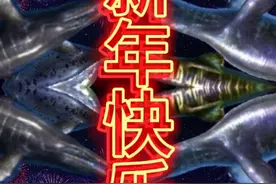 钓鱼发烧友，我创的奇迹，高燃混剪2.0，来了！！视频封面