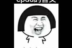 cpdd的含义