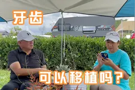 智齿可以移植到前面的牙位上去吗？视频封面