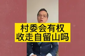 村委会有权收走自留山吗？视频封面