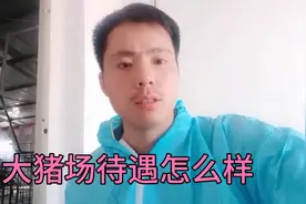 大猪场待遇怎么样？饲养员最高可以拿七八千！视频封面