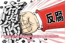 云浮市纪委通报查处云城区南盛镇铁场村委违法违纪3干部视频封面