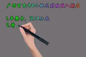 广西百色市6个地区财政收入排名视频封面