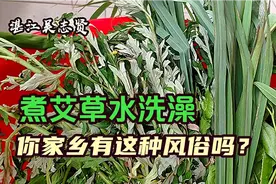 端午节，湛江农民买艾叶这样煮水洗浴，你家乡有这种风俗吗？视频封面