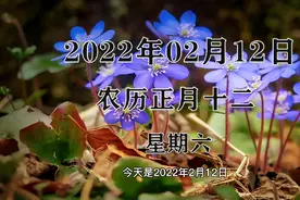 2月12日 历史上的今天视频封面