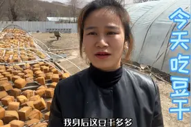 今天教大家做东北咸豆干，两块儿能整三个菜，真是下饭下酒又下菜视频封面