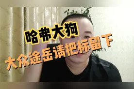哈弗大狗更实惠，还是大众途岳标值钱？途岳请把标留下，要不放狗视频封面