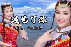 《遇见了你》央金兰泽 8090怀旧经典情歌回忆视频封面