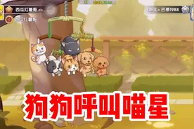 狗狗呼叫喵星：猫狗大作战一触即发！视频封面