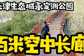 自驾游天津永定洲公园，高达16米的八仙木雕还有百米空中观景长廊视频封面