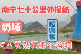大妈驾车去南宁五十公里扶绥石埠乳业探秘被拒，却意外看了什么？视频封面