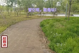 花粉过敏者的自嘲打油诗，顶着难受也要玩！视频封面