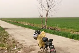 荒郊野外下网人，因为没戴头盔被罚款二十元，如果不交有什么后果视频封面