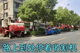 农村收获的季节，到处停着收割机，就等一声令下，开始收割小麦视频封面